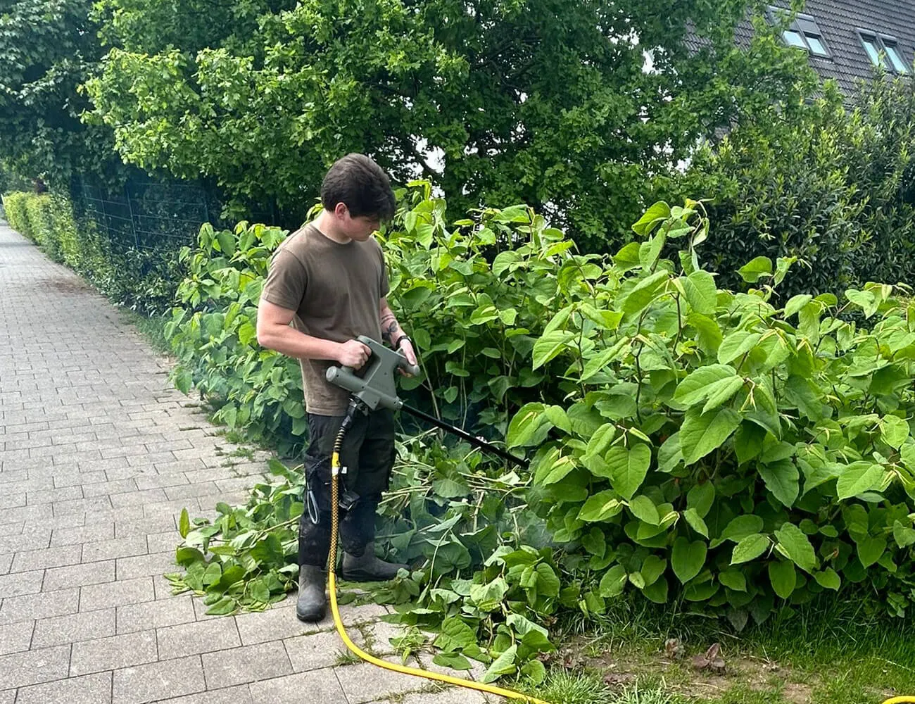 Elektrische Unkrautbekämpfung mit Root Wave